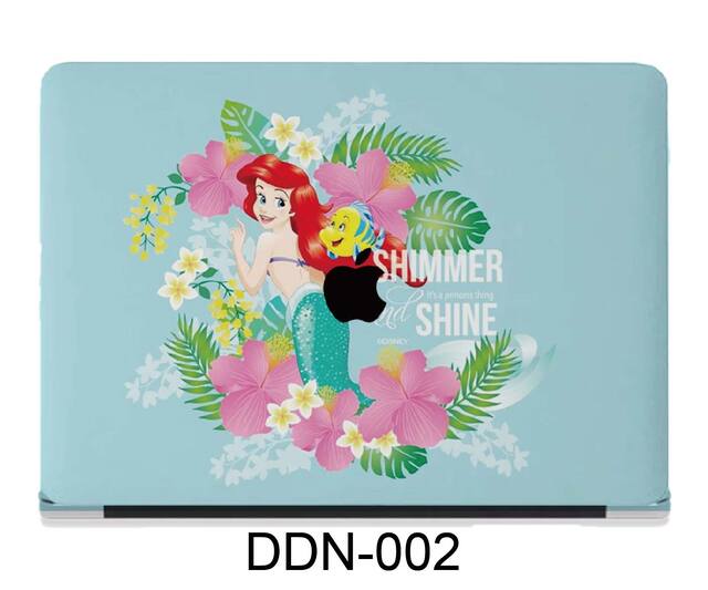 DDN-002